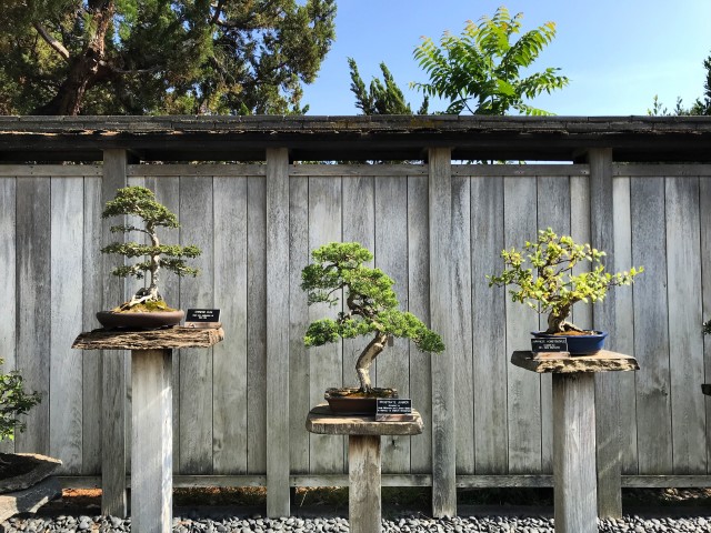 Creating a Bonsai tree out of copper