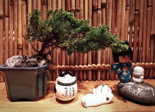 The Art of Shaping Bonsai Trees: Creating Stunning Designs